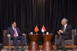 Vietnamese PM’s visit to Singapore to promote bilateral relations: Indian expert