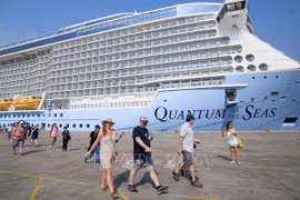 Number of cruise ship tourists to Vietnam sees strong recovery