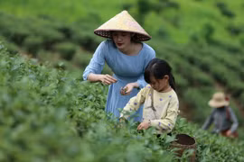 Agrotourism breathes fresh air to rural development