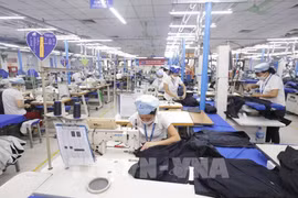 Vietnam Australia’s largest cotton importer: Authority