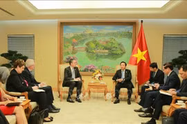 Deputy PM calls for GEAPP’s support in energy transition