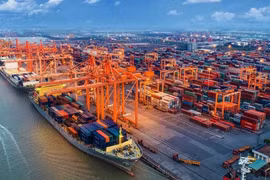 Vietnam continues to grow fast in 2023: British expert