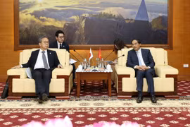 Lao Cai looks to expand cooperation with Japanese partners