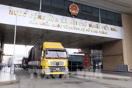 Seven-month budget collection from export-import down nearly 20%
