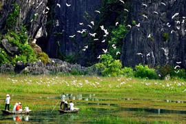 Eco-tourism development linked with biodiversity conservation under discussion