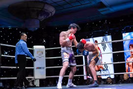 WBO event to feature title match, international boxers