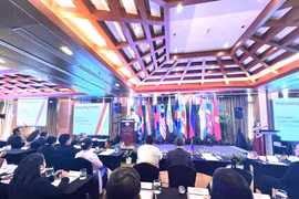 Vietnam attends 7th ASEANSAI Summit in Philippines