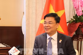 Ample room remains for Vietnam-Japan relations: diplomat, professors