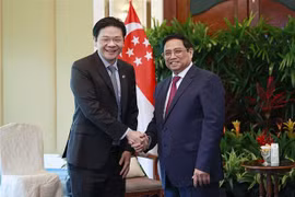 Prime Minister Pham Minh Chinh meets with Singaporean Deputy PM