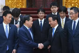Deputy Prime Minister hails development of Vietnam-Japan relations 