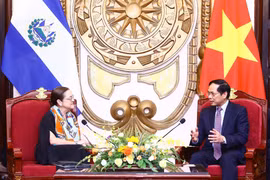 Vietnam, El Salvador seek ways to foster cooperation