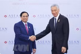Vietnam, Singapore need to boost cooperation in digital economy: regional media