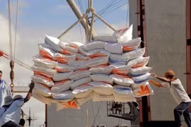 Indonesia mulls importing rice from many countries