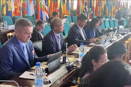 Vietnam attends Ministerial Conference of La Francophonie in Cameroon 