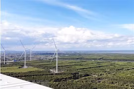 Mindset, awareness changes needed to obtain true green growth: minister
