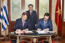 Vietnam’s NA delegation meets Uruguayan legislators