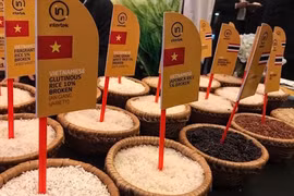 Rice export to enjoy favourable conditions in 2023