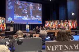 Vietnam attends review conference on Chemical Weapons Convention