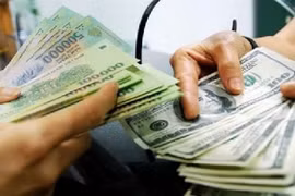 USD/VND exchange rate keeps stable despite SBV’s different policies
