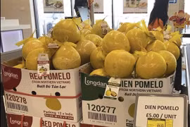 Opportunities for Vietnamese goods in foreign supermarkets