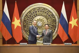 Vietnam sees Russia as prioritised partner: NA official