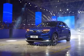 Transport Ministry proposes incentives for EVs producers, users