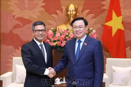 Vietnamese NA Chairman’s Indonesia visit helps solidify close friendship: ambassador