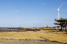 Nam Dinh’s first seasonal workers come to RoK’s Jeju island