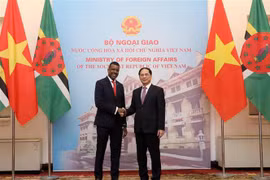 Vietnamese, Dominican foreign ministers hold talks