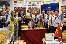 Vietnam, India seek to foster economic, trade ties