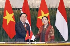 Indonesia's media highlight close ties with Vietnam