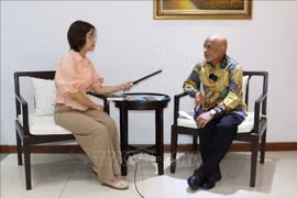 Vietnam gains major successes thanks to ‘bamboo diplomacy’: Indonesian researcher