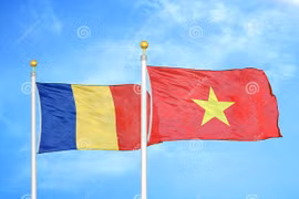 Vietnam - Romania Friendship Association contributes to bilateral ties