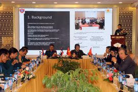 Vietnam, Laos enhance cooperation in forest protection