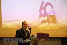 Vietnam, Egypt share fruitful six-decade ties: Ambassador 