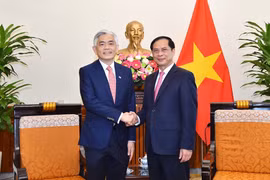  Vietnam, Singapore hold 15th political consultation