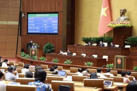 Legislators to adopt three laws, one resolution on June 20