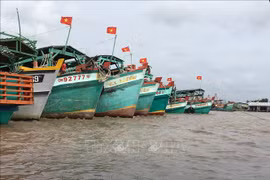 Ca Mau works hard against IUU fishing