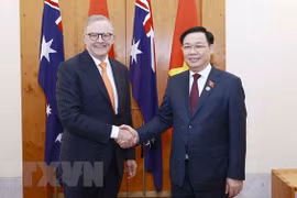 Vietnam, Australia enjoy fruitful strategic partnership: expert