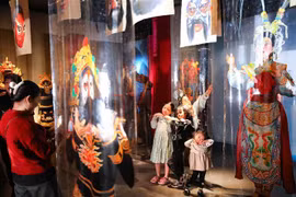 Hanoi hosts activities to mark Vietnam Cultural Heritage Day