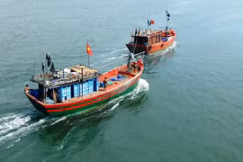 Vietnam to host EC inspection team for anti-IUU fishing in October