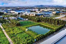 Vietnamese firms urged to strengthen green growth strategy