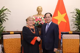 Vietnam always values relations with Chile: FM