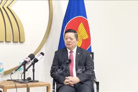 ASEAN Secretary-General highly values Vietnam’s activeness, sense of resposibility