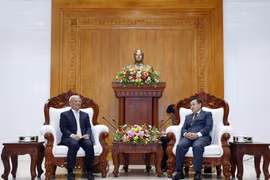 Vietnam Peace Committee’s delegation visits Laos