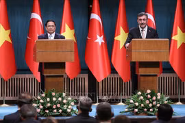 Vietnam – top partner of Türkiye, UAE in ASEAN: Deputy Foreign Minister