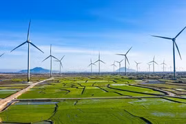 Vietnam’s green economy expected to reach 300 billion USD by 2050
