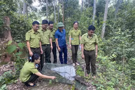 Asiatic brush-tailed porcupines released into wild in northern Vietnam