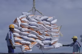 Indonesia inks MoU on importing 1 mln tonnes of rice from India