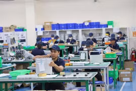 Japanese businesses seek investment opportunities in Mekong Delta